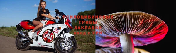 герыч Надым