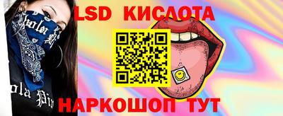 прущие грибы Гатчина
