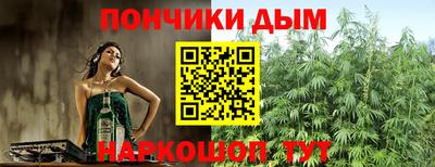 прущие грибы Гатчина