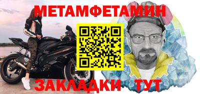 прущие грибы Гатчина
