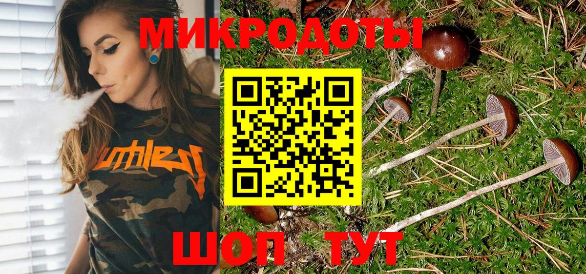 Псилоцибиновые грибы GOLDEN TEACHER  Псилоцибиновые грибы ЛСД  Алатырь  Вход с VPN 