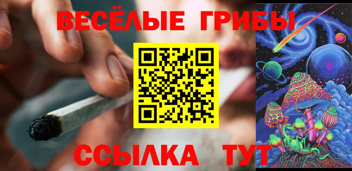 Псилоцибиновые грибы Magic Shrooms Алатырь