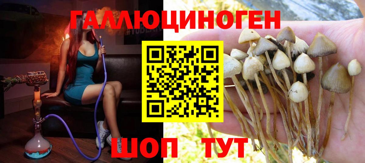 Галлюциногенные грибы мицелий  Вход с VPN  Алатырь 