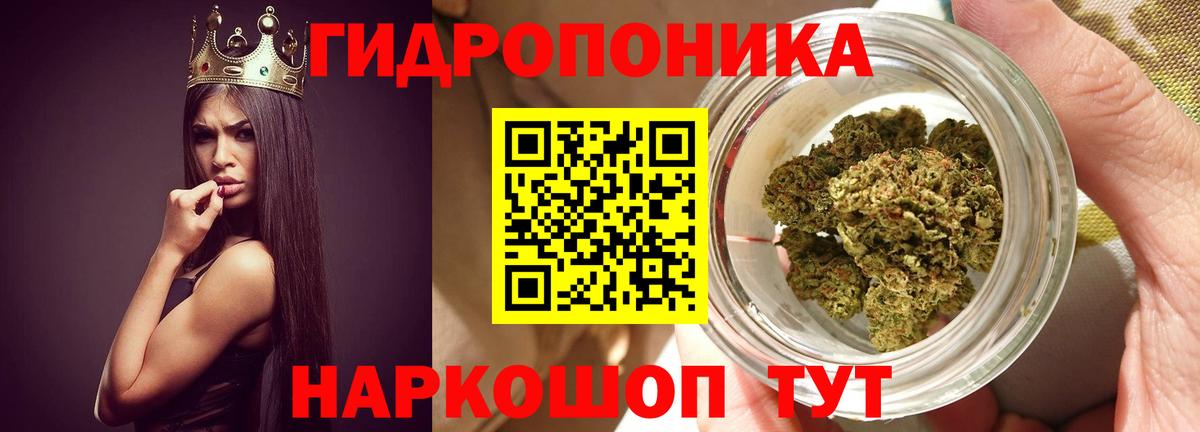 Шишки марихуана конопля  Бошки марихуана Amnesia  Алатырь  Вход с VPN 